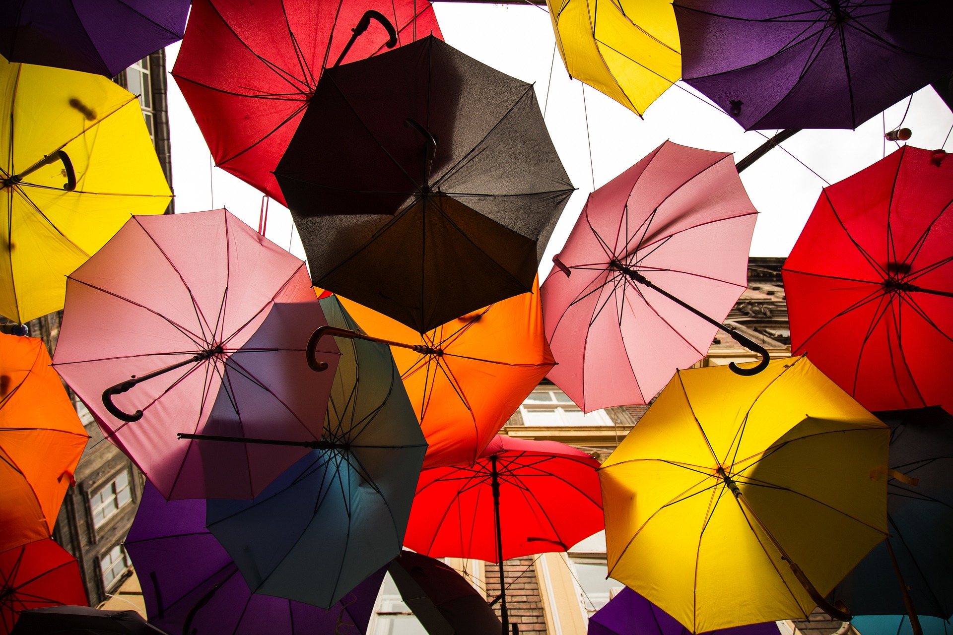 umbrellas in multiple colors